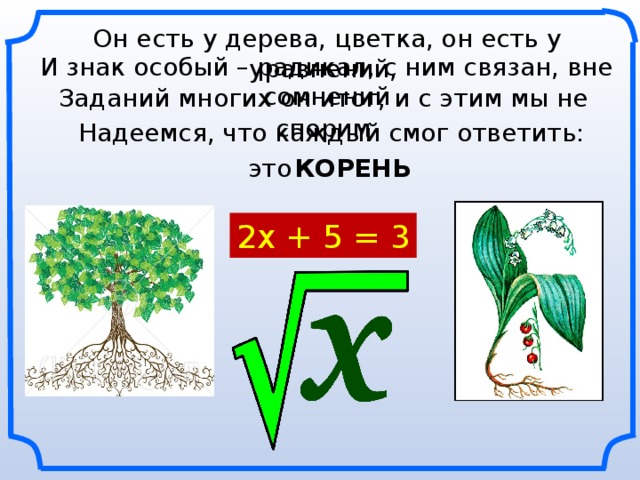 Корневые оптимизации