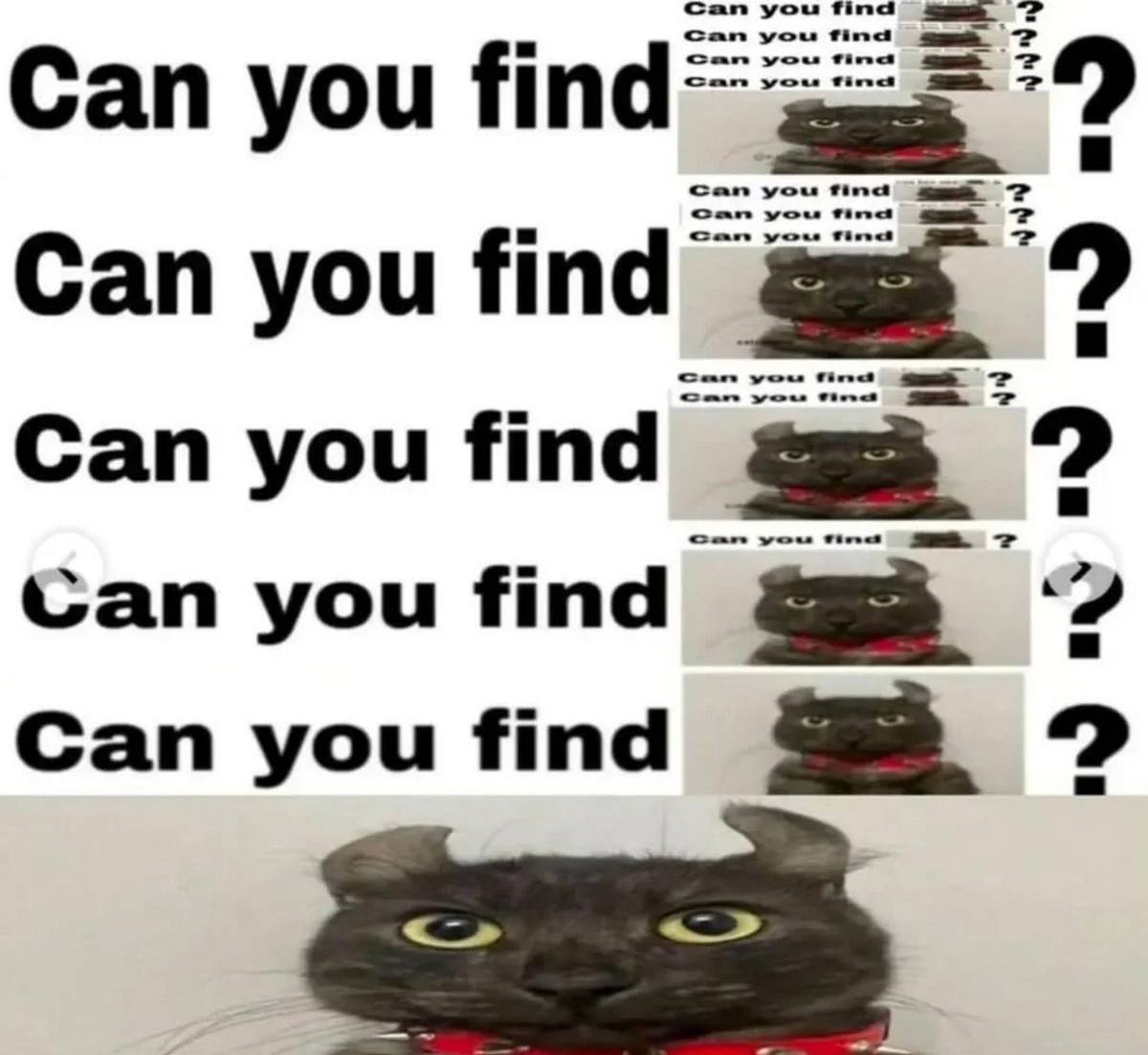 Суффиксный массив