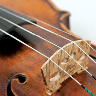 Strings 1