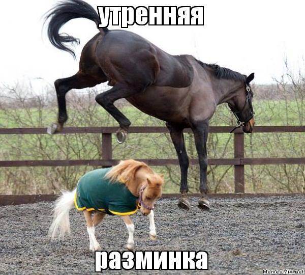Разминка