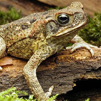 Успеть за 18000 секунд