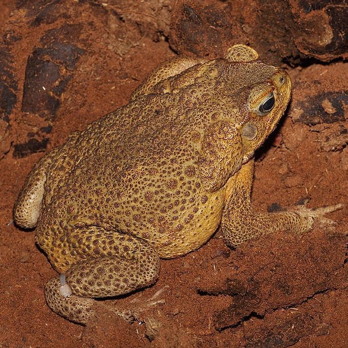 Все распределено