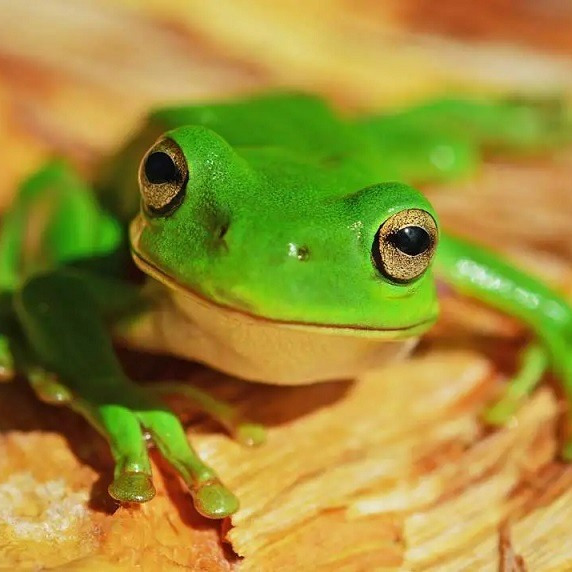 Успеть за 18000 секунд