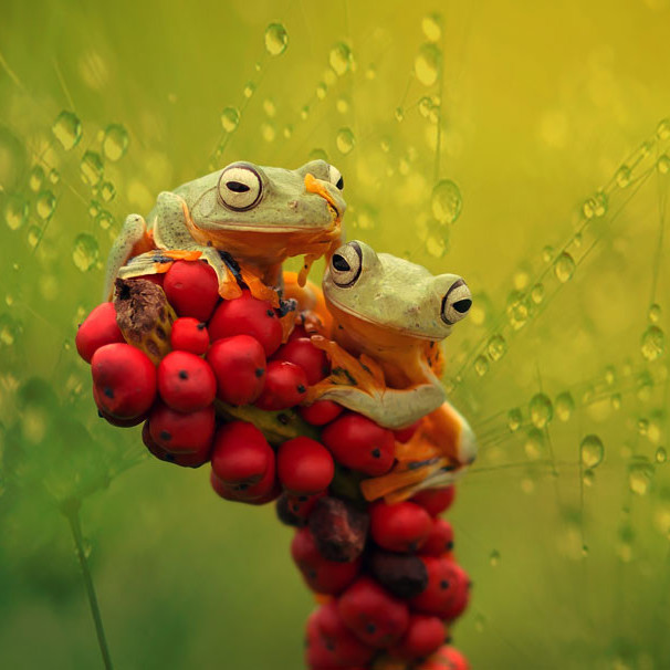 Практически зачет