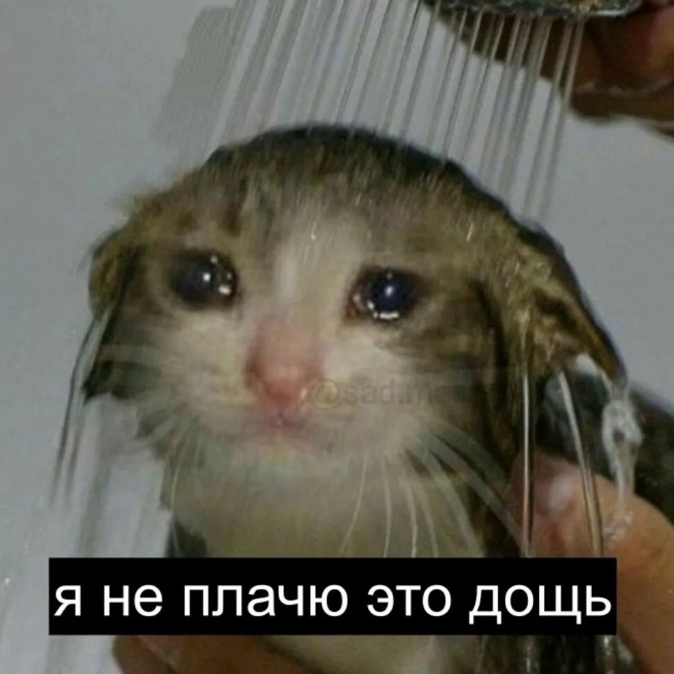 Судный день
