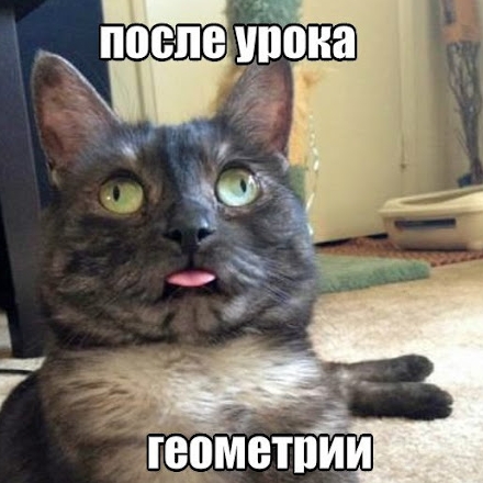 Геометричка