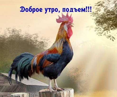 Подъёмы!