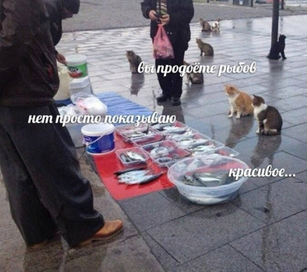 Игры разума