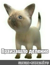 Разделяй и Влавствуй и Друзья