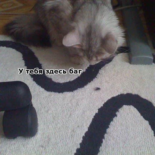 Теорсеминар #2