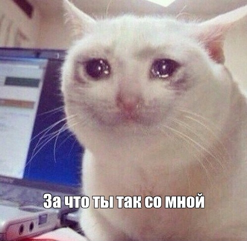 Зачот