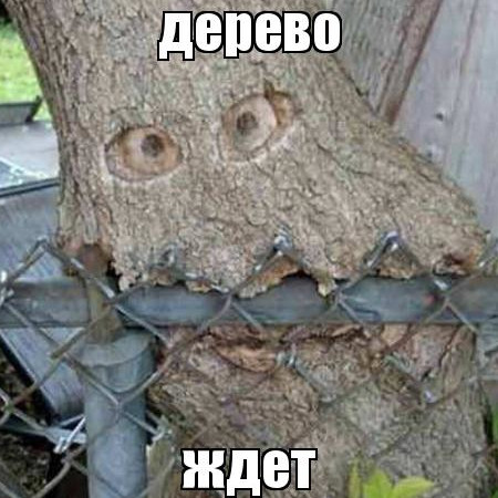 Миностов и СНМ