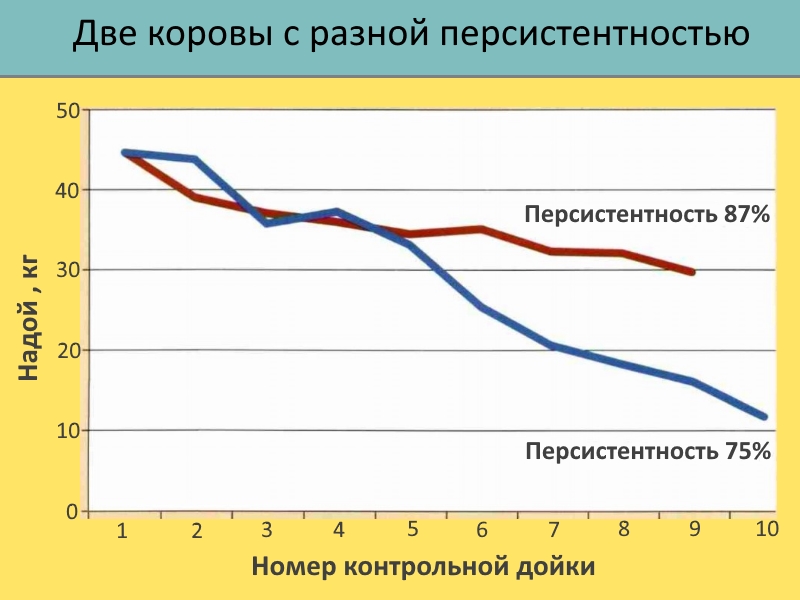 Персистентность