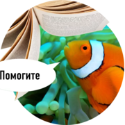 Суфавтомат(