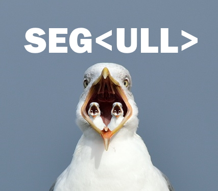 SEG-T