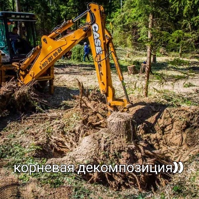 Корневая (базовые задачи)