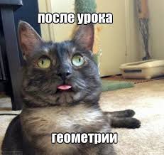 Геомемия