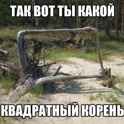 Корневая оптимизация