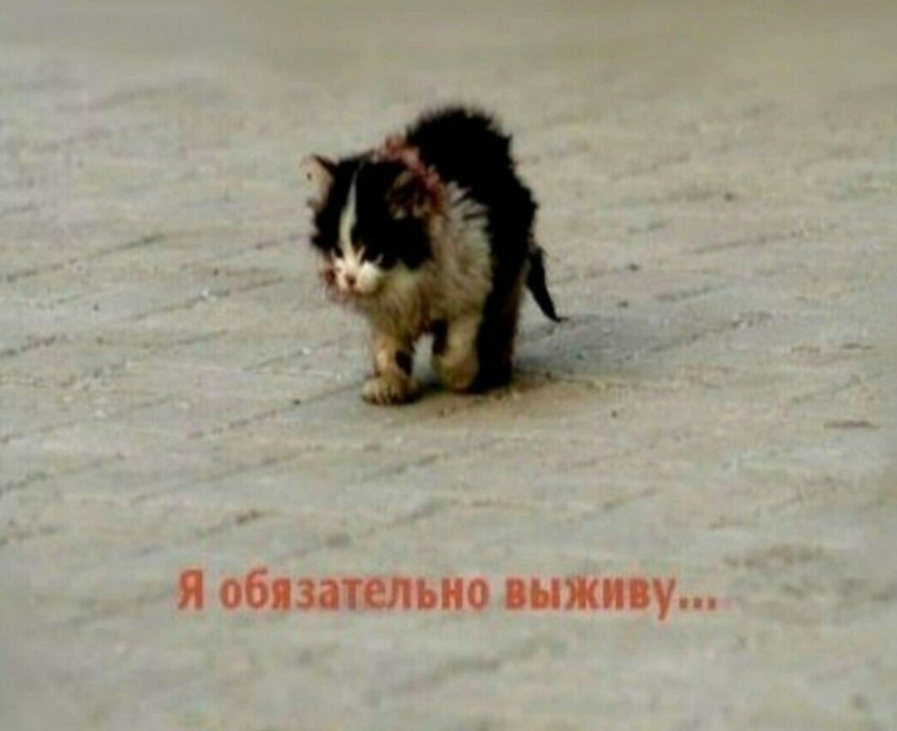 Зачётный контест