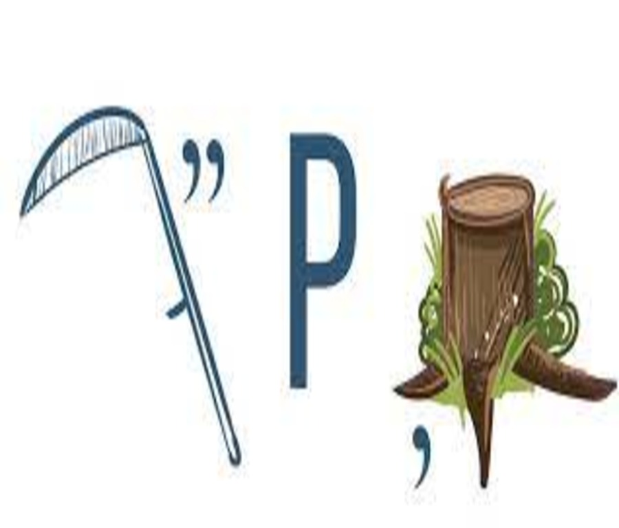 Корневая
