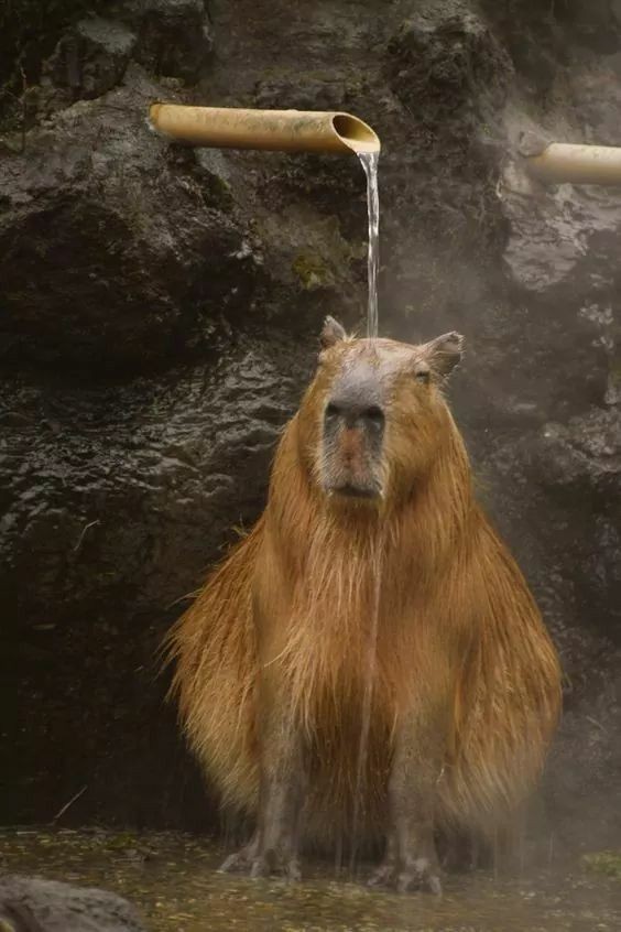 Потоки