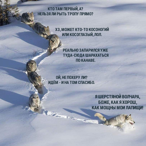 Крткст — сстр тлнт