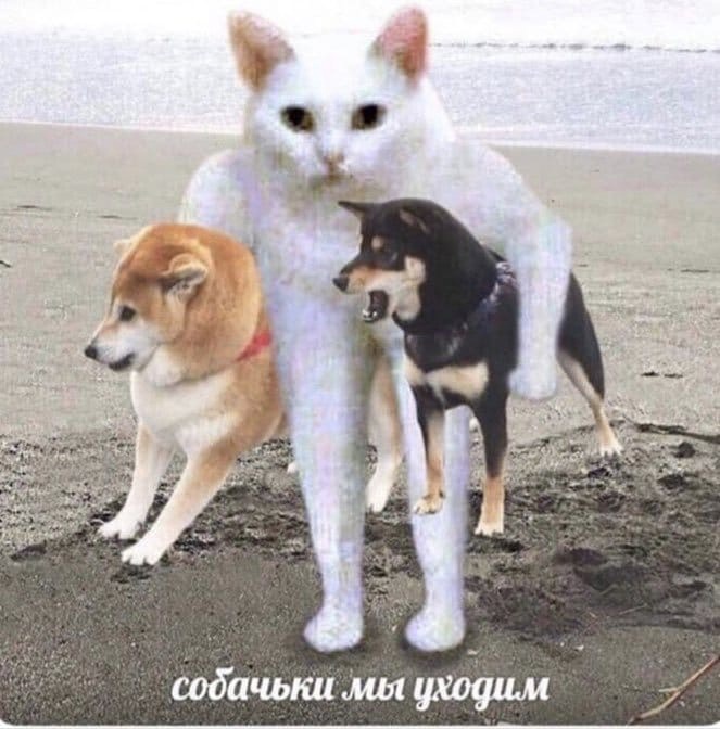 Квачёт