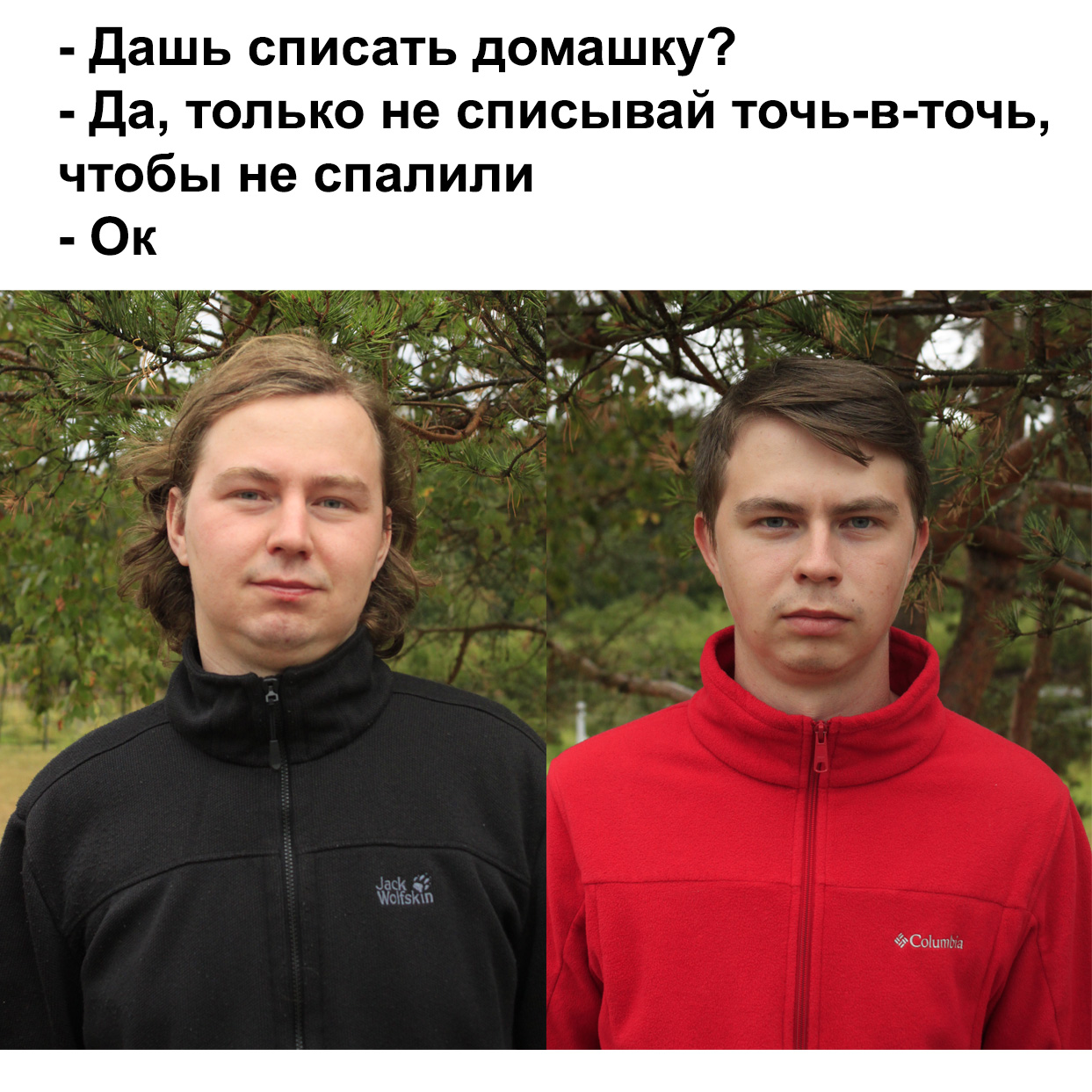 Персистентность