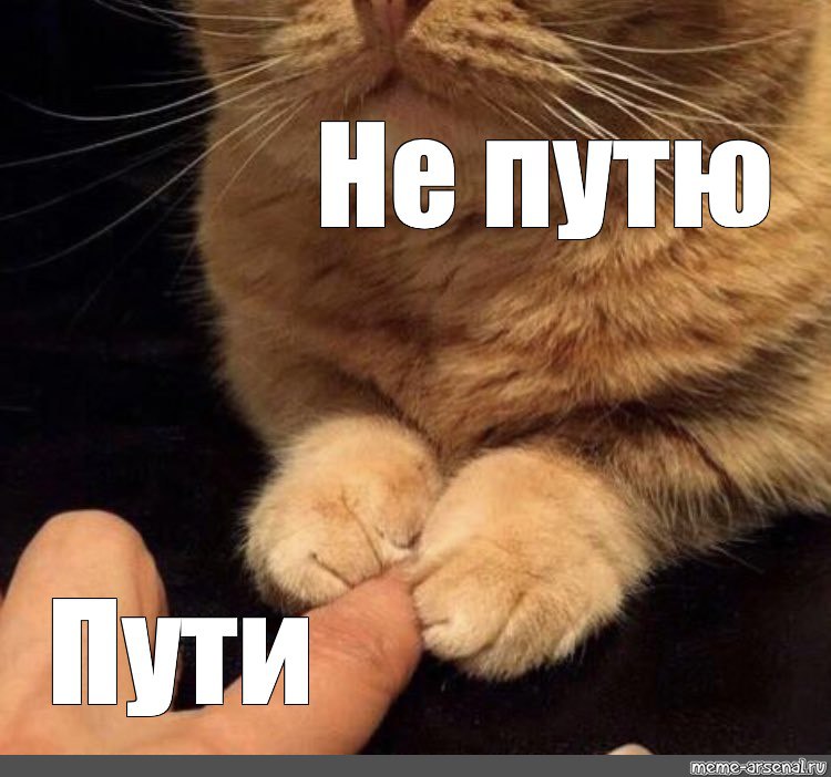 От пути не путю