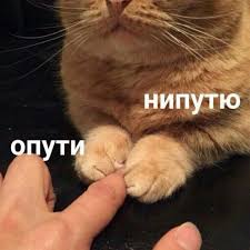 Матрицы