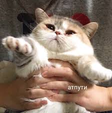 пути 😣