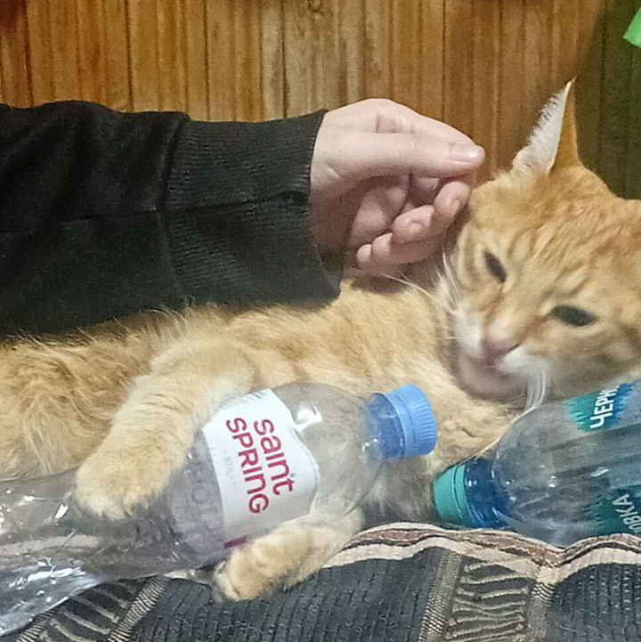 Василий