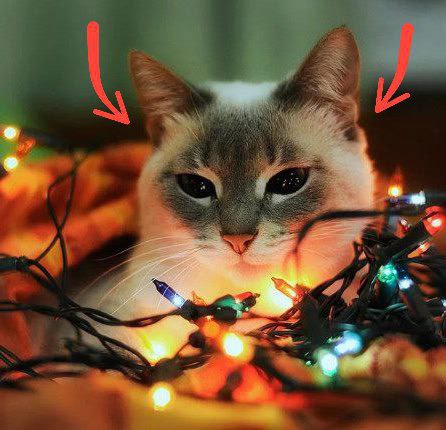 Решаем под музычку